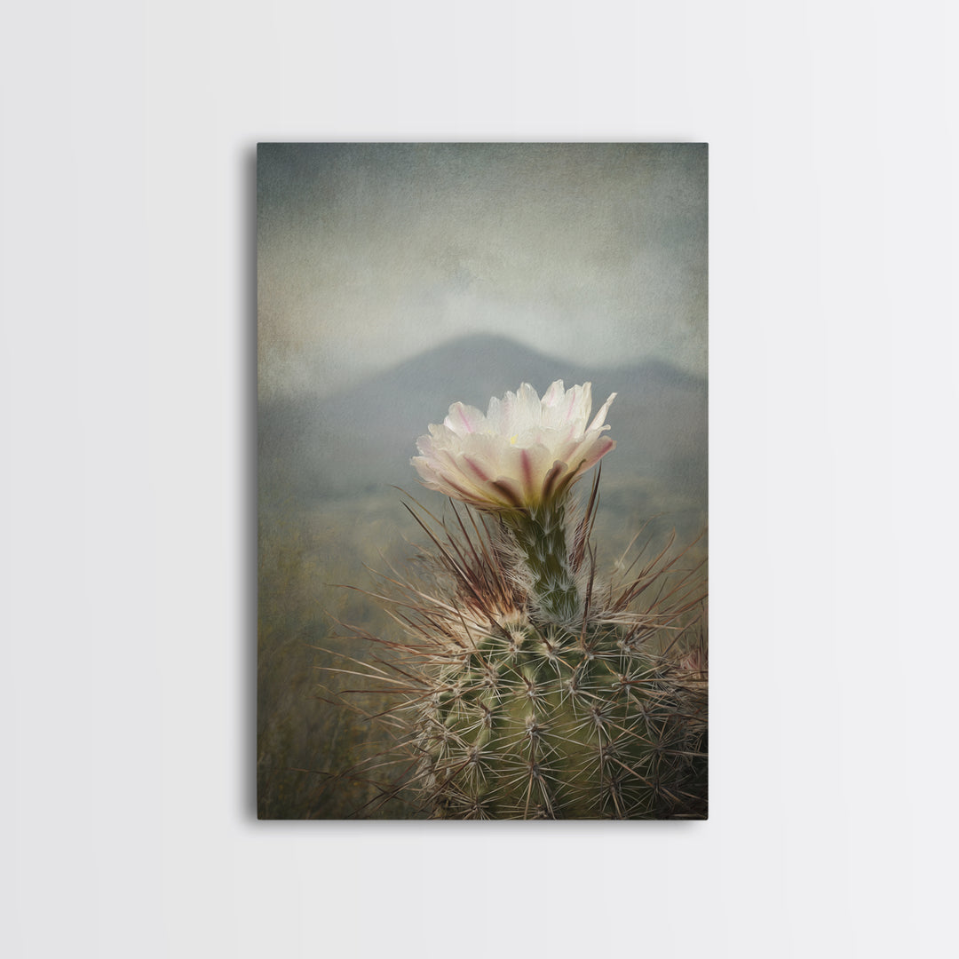 Desert Cactus Blooming After Rain Framed Canvas Print, Nature Art, Living Room Decor, Oil Painting, Nature, Ocean Art, NAT-2x3-28