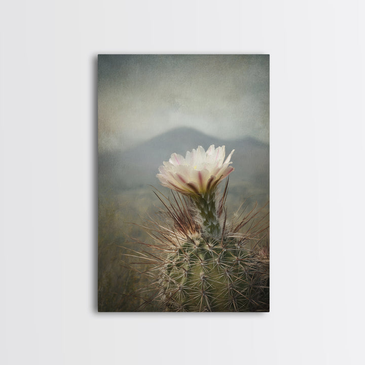 Desert Cactus Blooming After Rain Framed Canvas Print, Nature Art, Living Room Decor, Oil Painting, Nature, Ocean Art, NAT-2x3-28