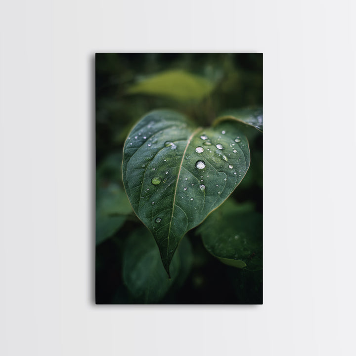 Rain Drops on a Large Green Leaf Canvas Print, Nature Art, Floral, Living Room Decor, Oil Painting, Nature, Moss Art, NAT-2x3-65