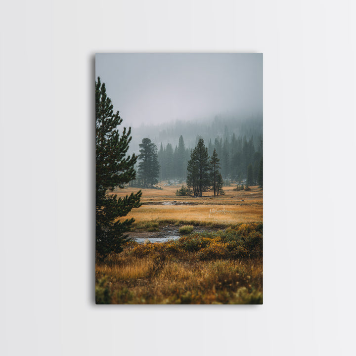 Moody Pine Forest Framed Canvas Print, Nature Art, Framed Art, Living Room Decor, Nature, Botanical Art, Digital Download Art, NAT-2x3-73
