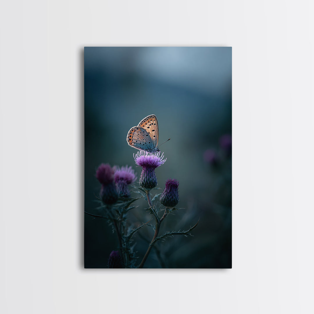 Butterfly Resting on a Blooming Thistle Framed Canvas Print, Nature Art, Landscape Art, Living Room Decor, Fine Art, Nature, NAT-2x3-84