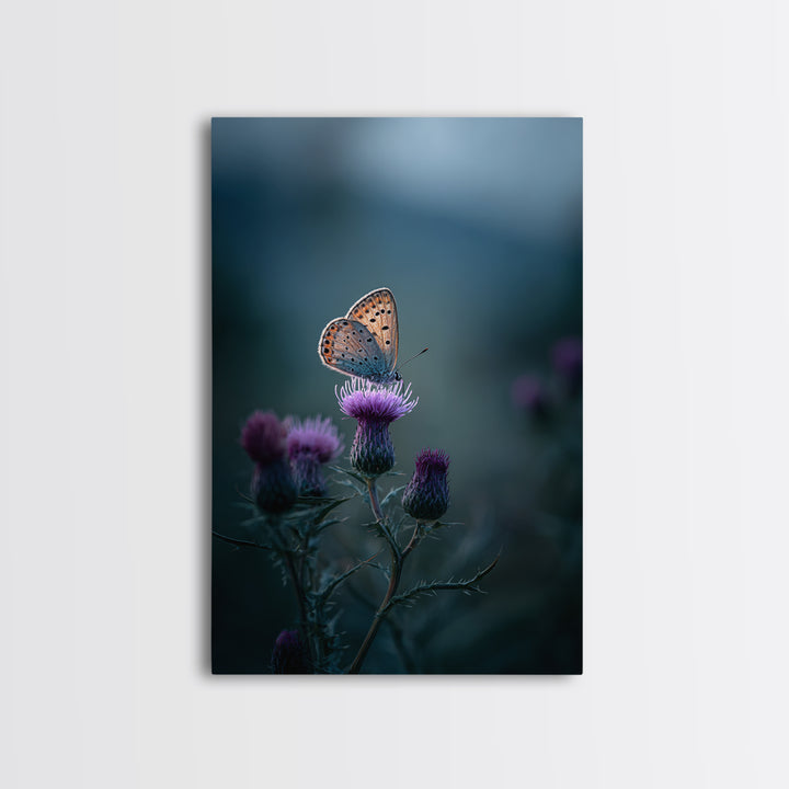 Butterfly Resting on a Blooming Thistle Framed Canvas Print, Nature Art, Landscape Art, Living Room Decor, Fine Art, Nature, NAT-2x3-84