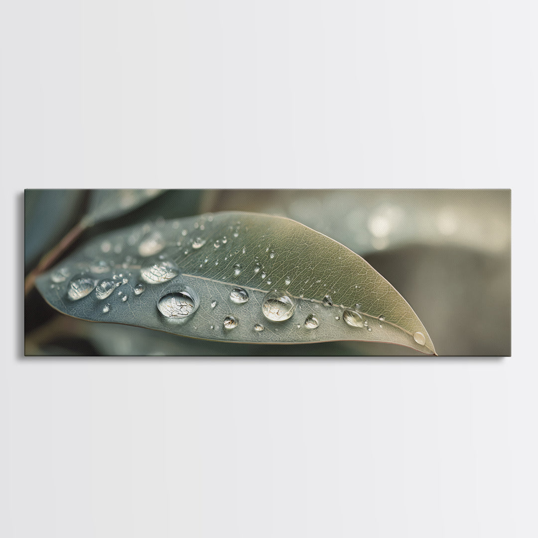 Rain Drops on a Large Green Leaf Canvas Print, Nature Art, Living Room Wall Art, Living Room Decor, Fine Art, Nature, NAT-3x1-25