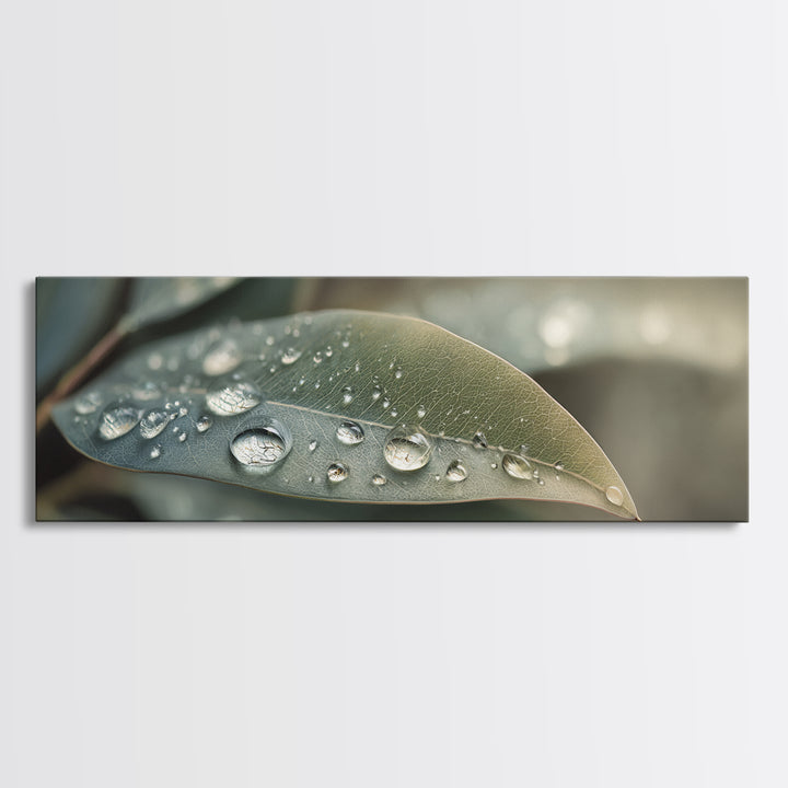 Rain Drops on a Large Green Leaf Canvas Print, Nature Art, Living Room Wall Art, Living Room Decor, Fine Art, Nature, NAT-3x1-25
