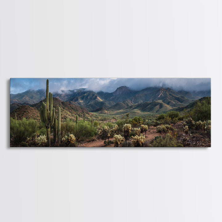 Desert Cactus Blooming After Rain Canvas Print, Nature Art, Mountain Art, Living Room Decor, Fine Art, Nature, Minimalist Decor, NAT-3x1-36