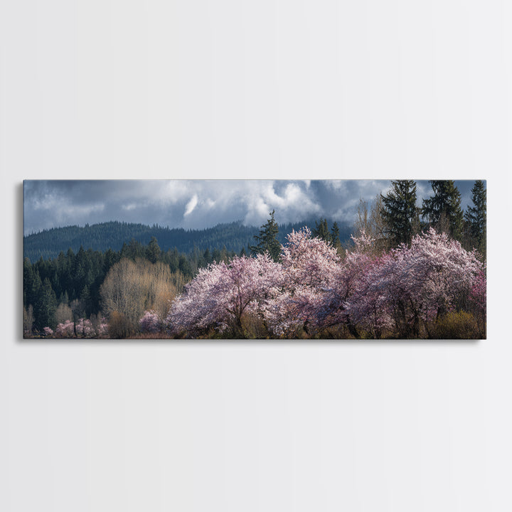 Spring Cherry Blossoms Canvas Print, Nature Art, Poster, Living Room Decor, Fine Art, Nature, Abstract Wall Art, 3d Wall Art, NAT-3x1-80