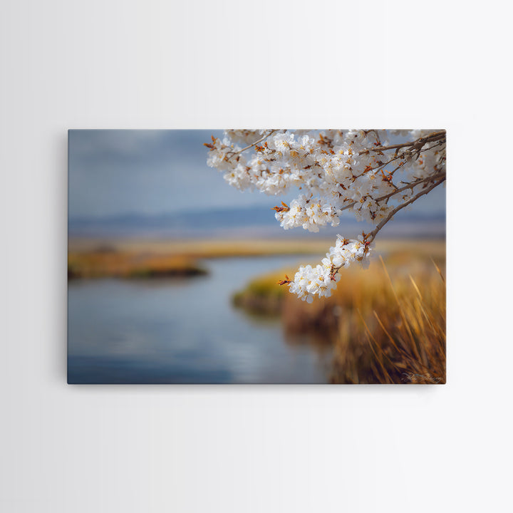 Spring Cherry Blossoms Framed Canvas Print, Nature Art, Abstract Wall Art, Living Room Decor, Fine Art, Nature, Bird Wall Art, NAT-3x2-20
