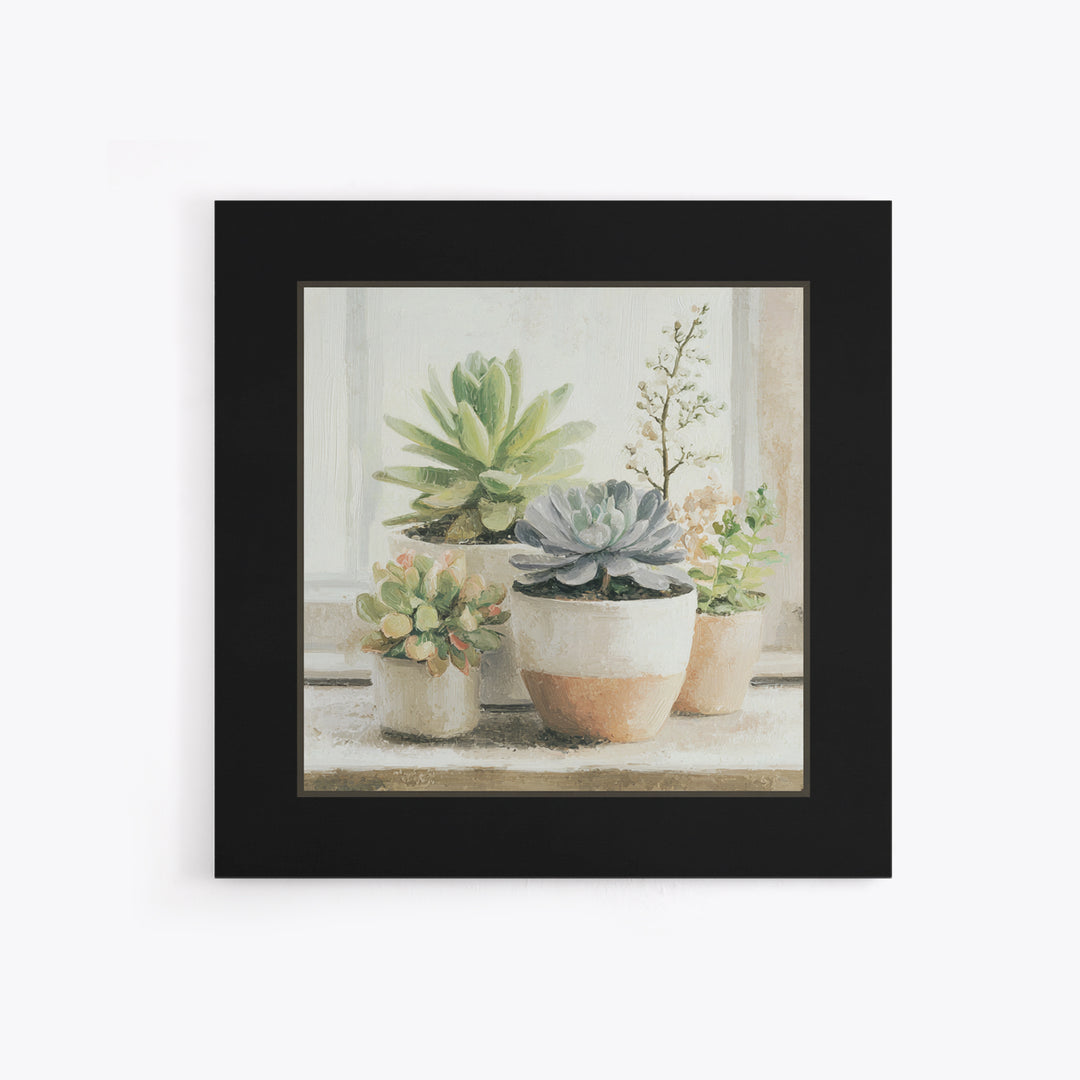 Succulent Collection in Ceramic Planters Framed Canvas Print, Patio Art, Mixed Media Art, Patio Decor, Fine Art, Outdoor, PAT-1x1-21