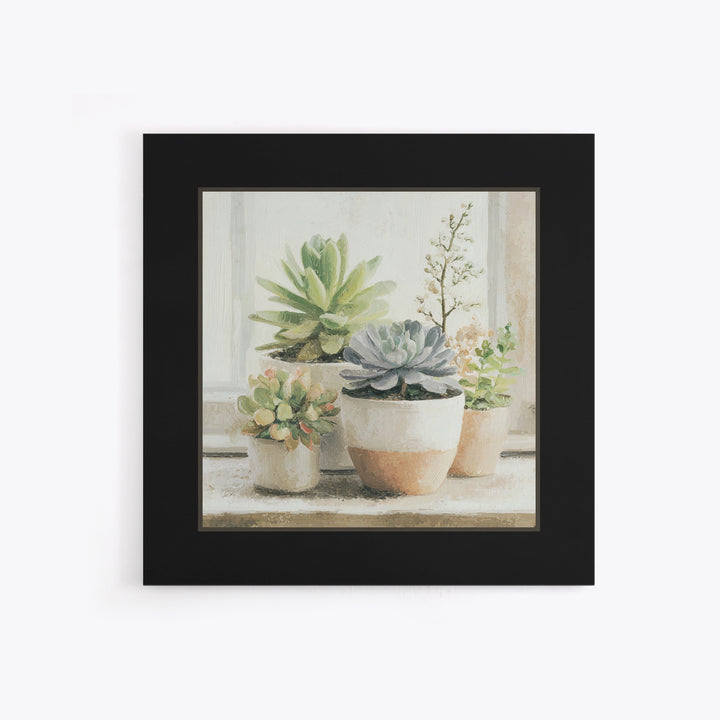 Succulent Collection in Ceramic Planters Framed Canvas Print, Patio Art, Mixed Media Art, Patio Decor, Fine Art, Outdoor, PAT-1x1-21