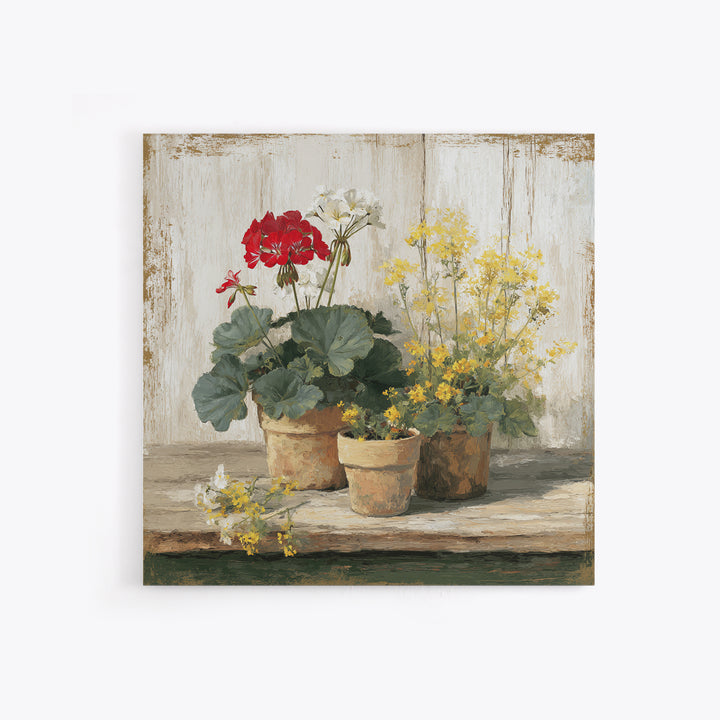 Potted Geraniums in Rustic Clay Pots Framed Canvas Print, Patio Art, Family Wall Art, Patio Decor, Fine Art, Outdoor, PAT-1x1-38