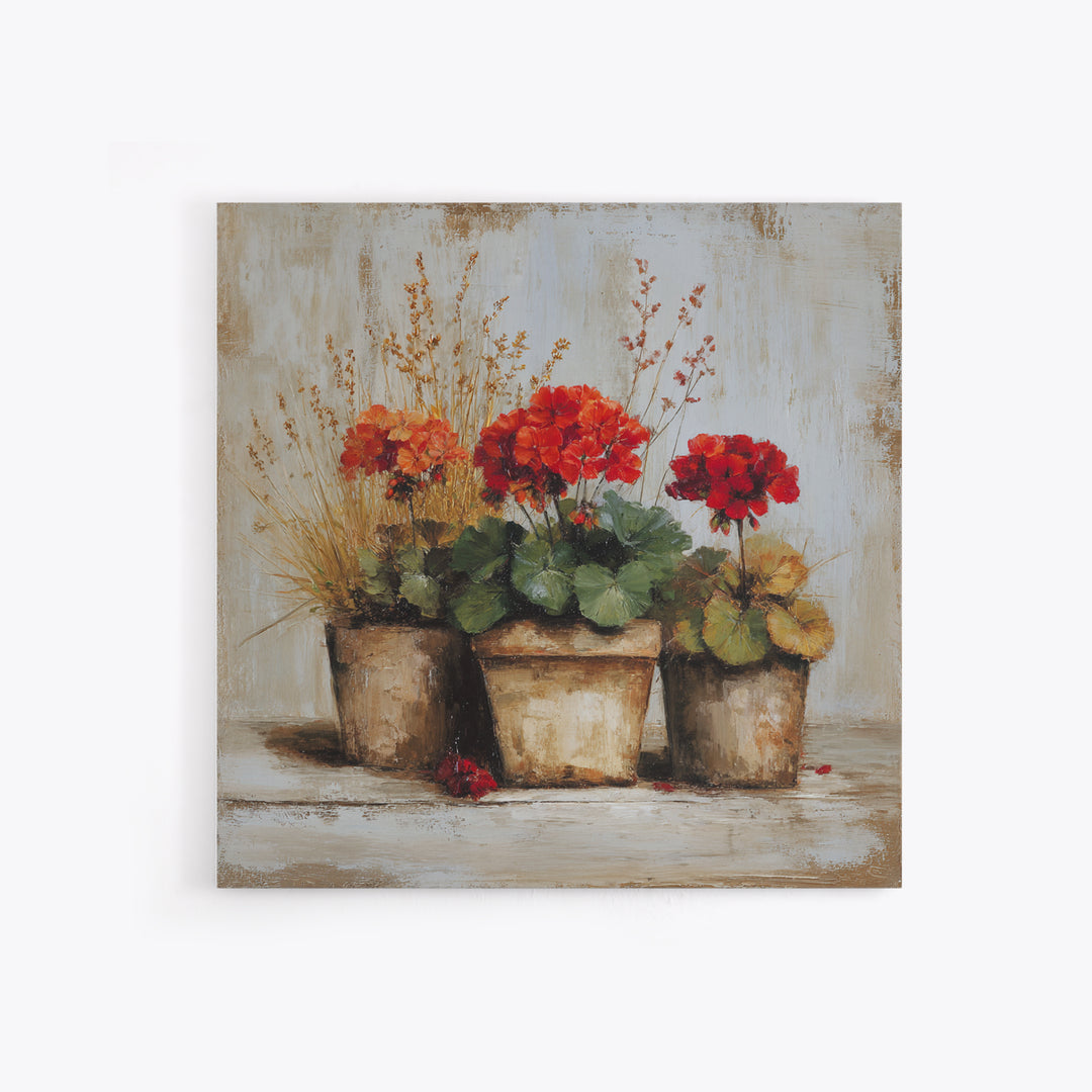 Potted Geraniums in Rustic Clay Pots Canvas Print, Patio Art, Modern Decor, Patio Decor, Fine Art, Outdoor, Home Decor, PAT-1x1-86