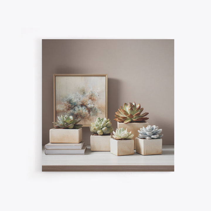 Succulent Collection in Ceramic Planters Framed Canvas Print, Patio Art, Luxury Decor, Patio Decor, Oil Painting, Outdoor, PAT-1x1-93