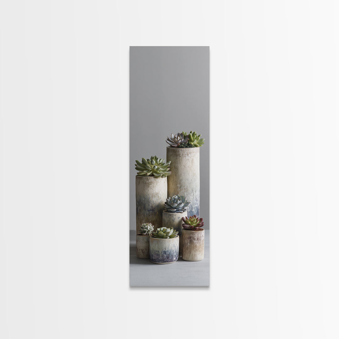 Succulent Collection in Ceramic Planters Canvas Print, Patio Art, Outdoor Wall Decor, Patio Decor, Fine Art, Outdoor, PAT-1x3-81