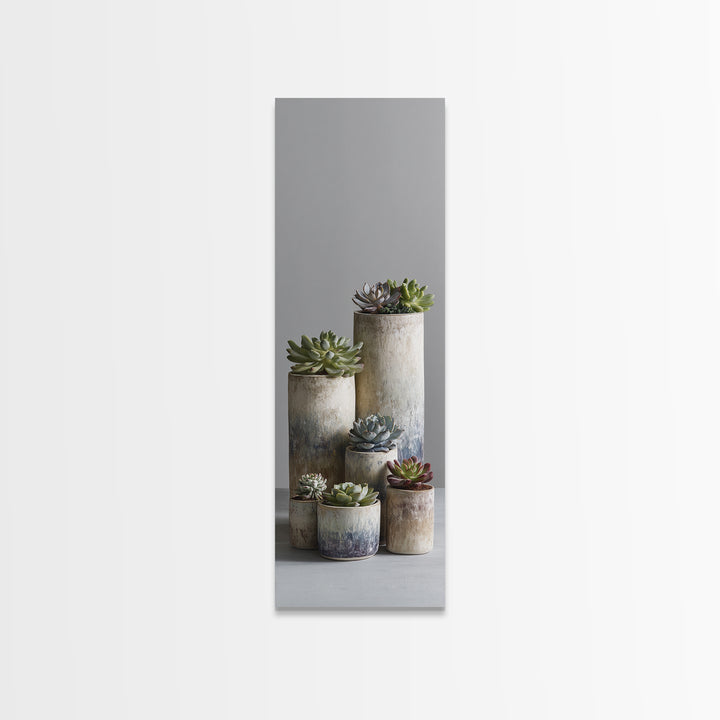 Succulent Collection in Ceramic Planters Canvas Print, Patio Art, Outdoor Wall Decor, Patio Decor, Fine Art, Outdoor, PAT-1x3-81