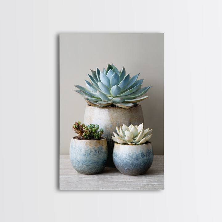 Succulent Collection in Ceramic Planters Canvas Print, Patio Art, Outdoor Wall Decor, Patio Decor, Fine Art, Outdoor, PAT-2x3-77