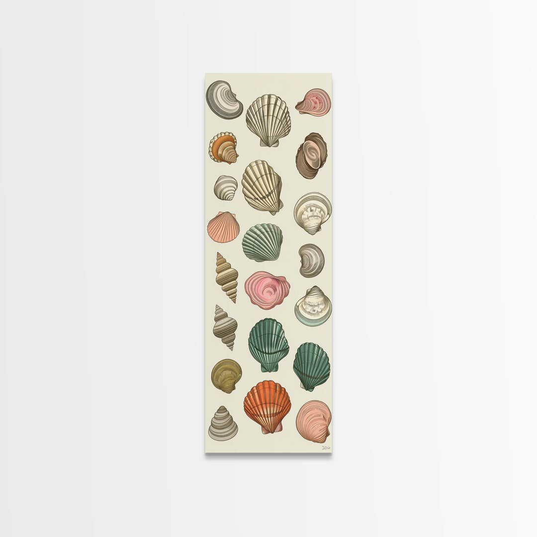 Elegant Sea Shell Collection in Vintage Style on Tall Vertical Canvas Print Perfect for Coastal-Themed Wall Decor