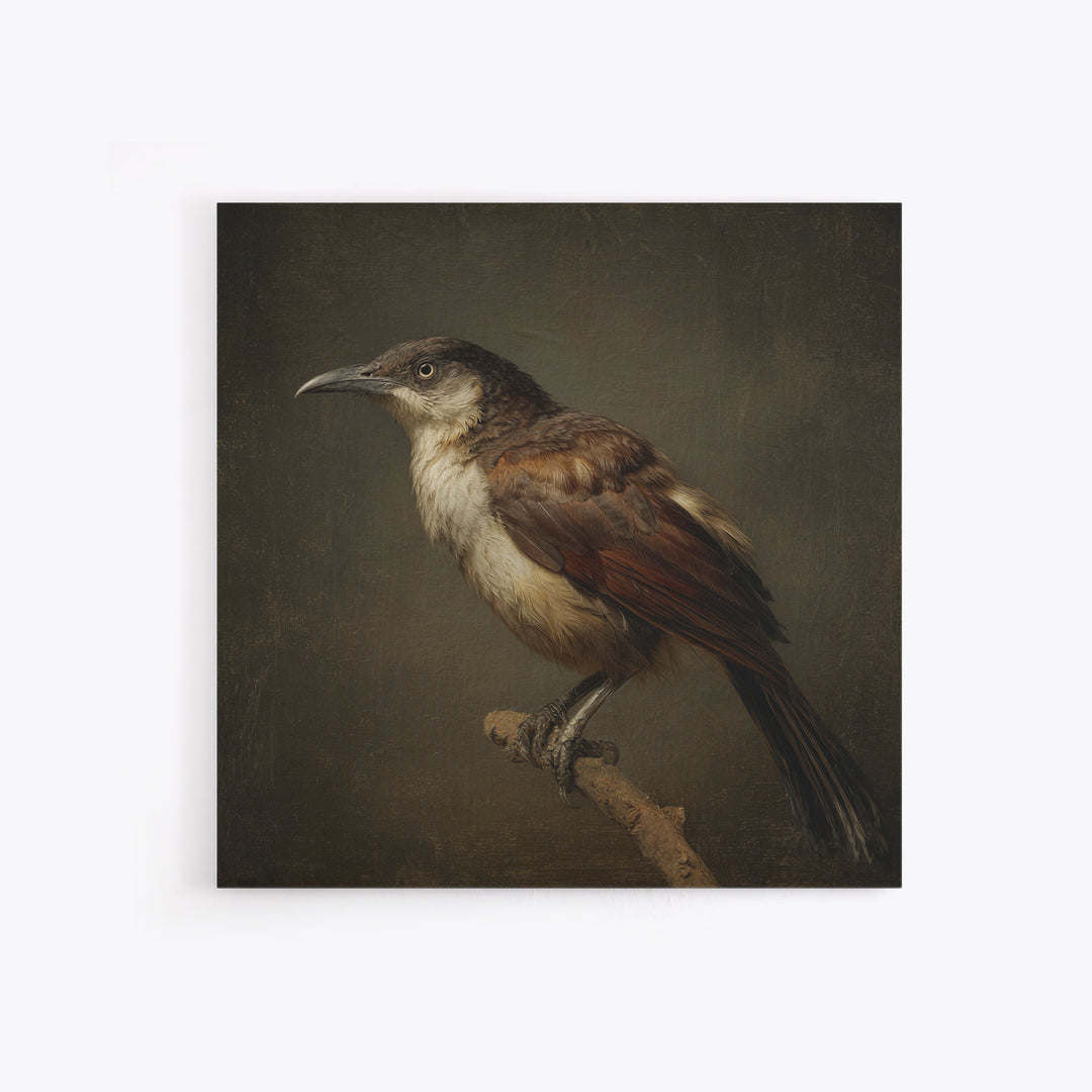 Old Master Bird Study Canvas Print, Renaissanceinspired Art, Floral Painting, Living Room Decor, Fine Art, Classic, Art Print, REN-1x1-95