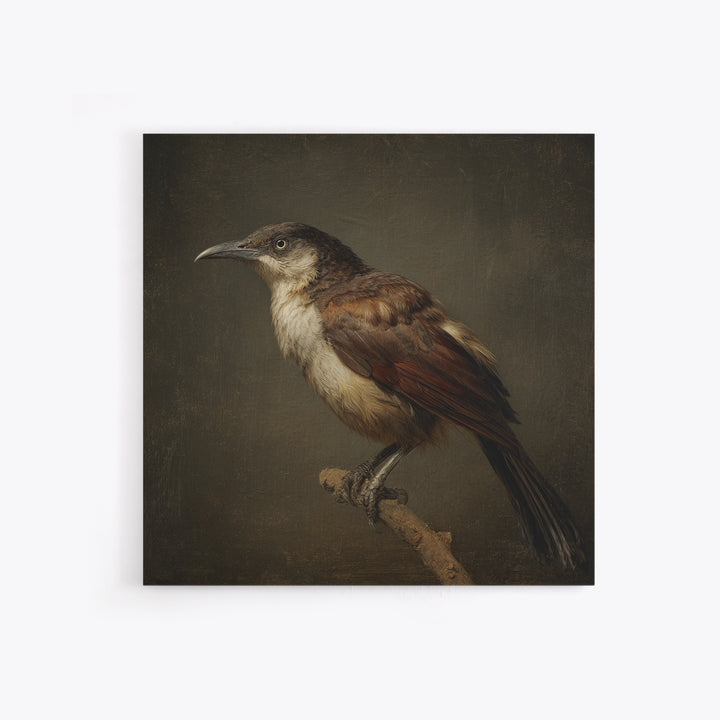 Old Master Bird Study Canvas Print, Renaissanceinspired Art, Floral Painting, Living Room Decor, Fine Art, Classic, Art Print, REN-1x1-95