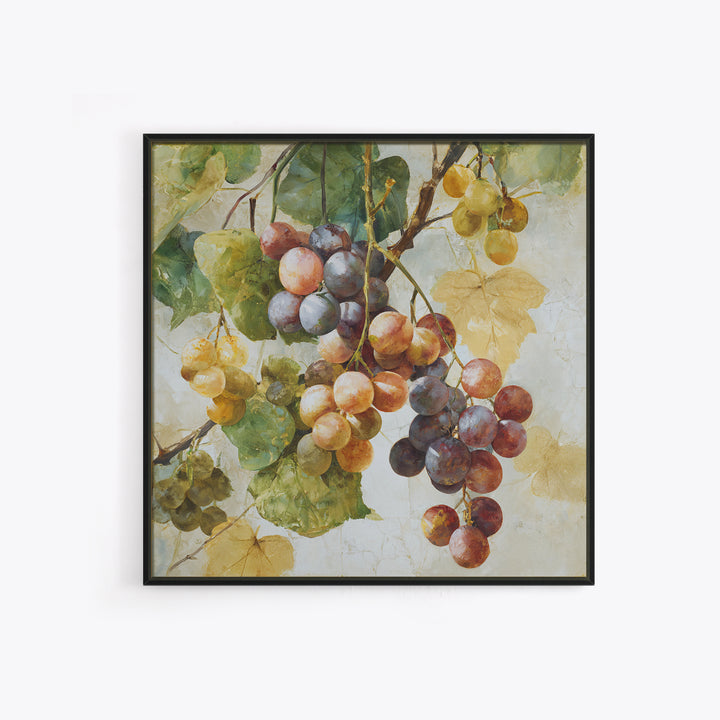 Wine Grapevine Botanical Study Framed Canvas Print, Restaurant Art, Neutral Decor, Restaurant Decor, Oil Painting, Bistro, RES-1x1-63