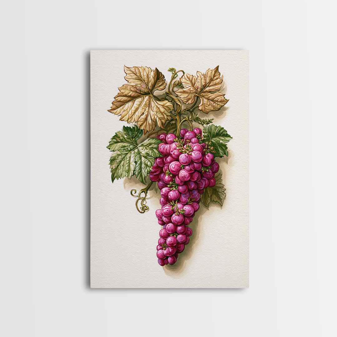 Wine Grapevine Botanical Study Canvas Print, Restaurant Art, Canvas, Restaurant Decor, Fine Art, Bistro, Living Room Decor, RES-2x3-23