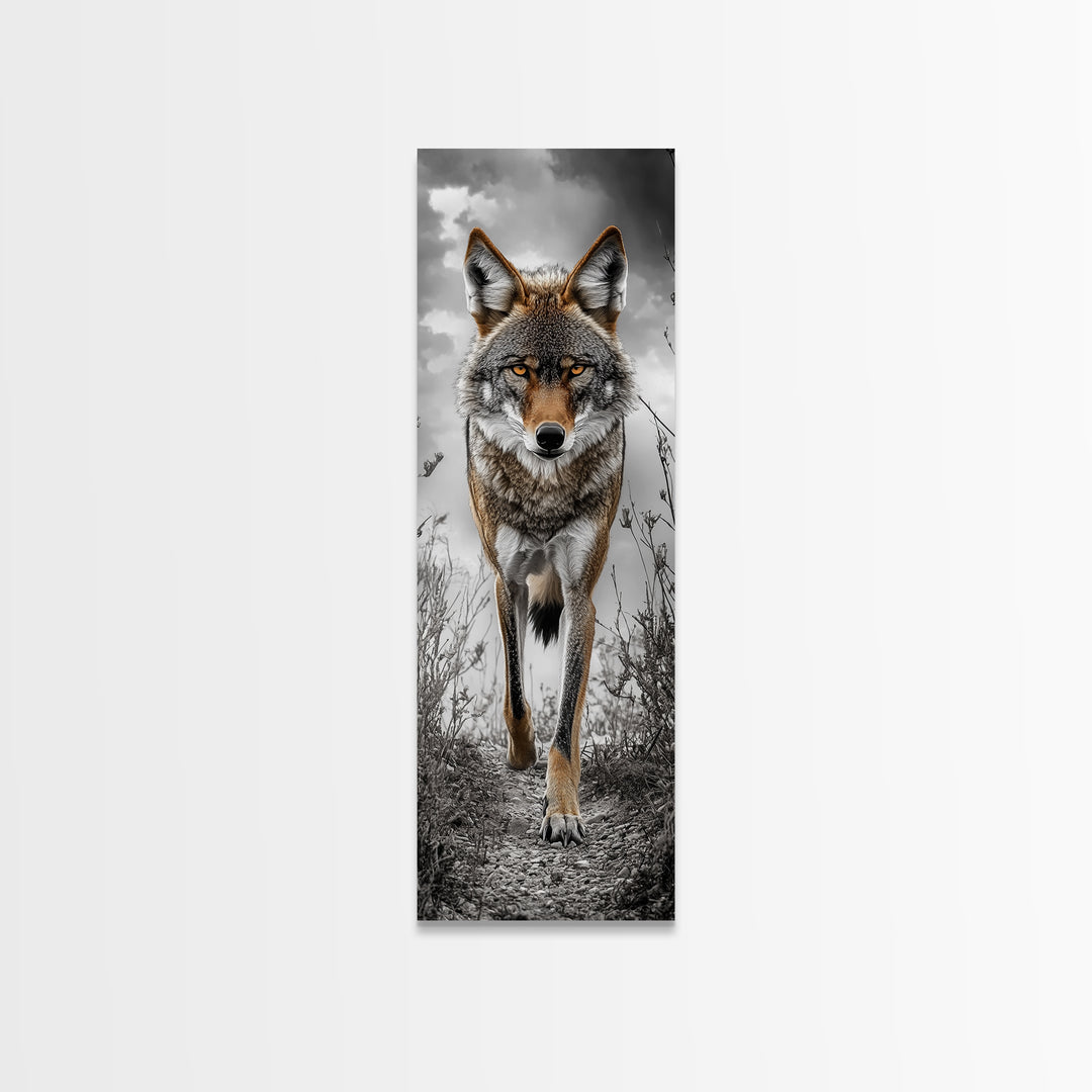 Intense Coyote Stare Framed Canvas Print | Wildlife Wall Art | Rustic Decor | Moody Art | Southwest Wall Art | Above Sofa Art | Gift Idea