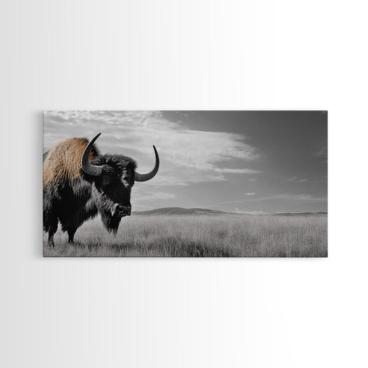 Buffalo Wall Art Canvas Print | Rustic Farmhouse Decor | Western Landscape Art | Moody Wall Art | Extra Wide Art | Nature Lover Gift