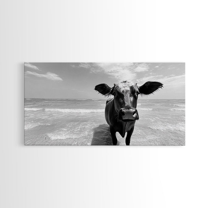 Curious Beach Cow, coastal wall art, cow painting, whimsical art, black and white photography, farmhouse decor, seascape painting, Canvas Print