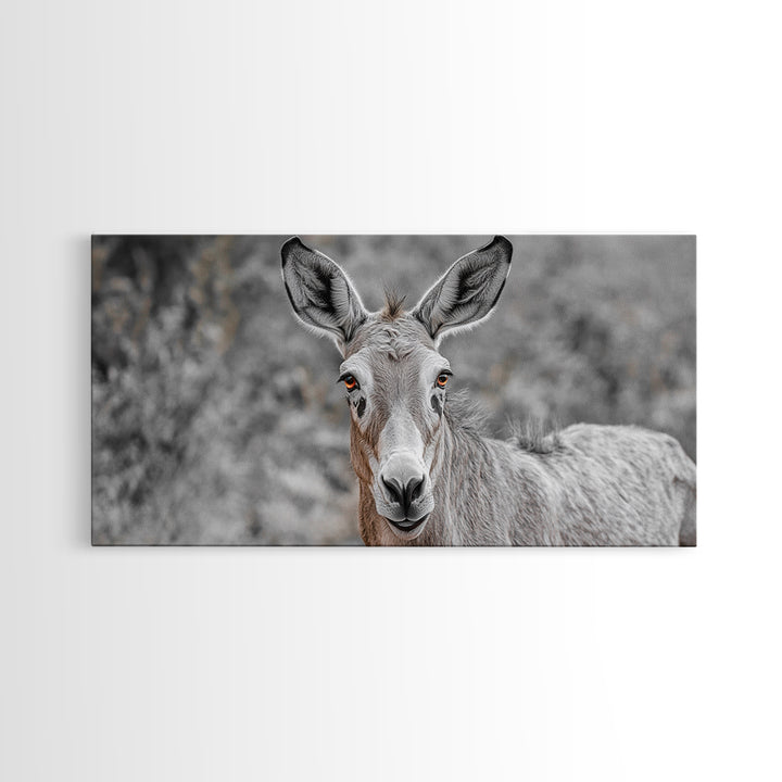 Donkey Close-Up Framed Canvas Print | Rustic Farmhouse Art | Moody Animal Portrait | Southwest Wall Art | Extra Wide Art | Above Couch Decor