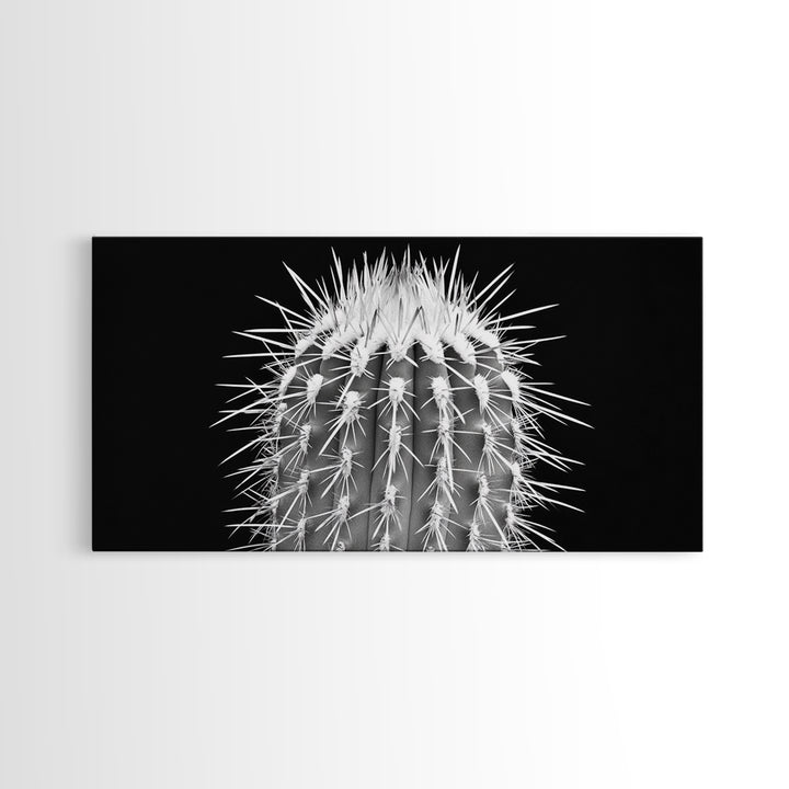 Cactus Spines, southwest wall art, desert art, botanical prints, geometric wall art, nature photography, sharp contrast, Framed Canvas Print