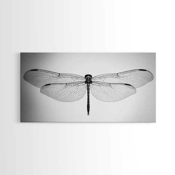 Dragonfly, line art, minimalist art, black and white art, nature painting, botanical prints, extra wide art, framed canvas print