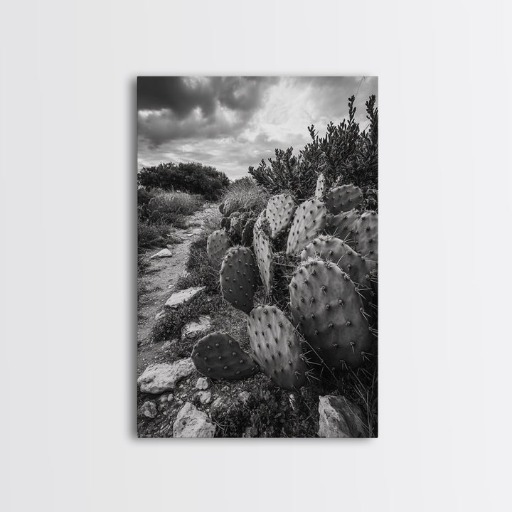 Cactus Trail, southwest wall art, rustic decor, desert painting, wabi sabi art, nature landscape art, framed canvas print, farmhouse decor