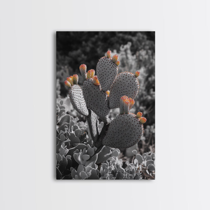 Desert cactus, southwest wall art, Joshua tree art, framed canvas print, botanical prints, rustic boho decor, floral desert painting
