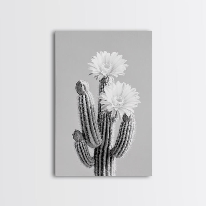 Cactus Bloom, desert botanical, minimalist art, black and white, southwest wall art, framed canvas print, vertical wall art, moody art