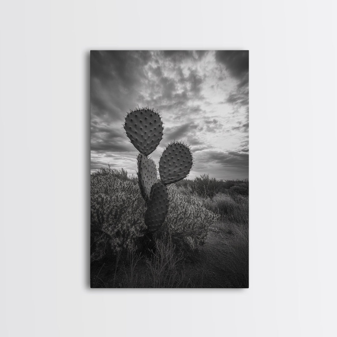 Prickly Pear, cactus art, Joshua tree art, wabi sabi art, moody art, black and white, framed canvas print, minimalist decor, rustic wall art