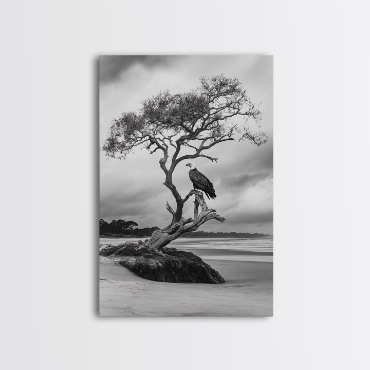 Bald eagle, nature wall art, moody art, wildlife photography, tree art, black and white art, above bed wall art, framed canvas print