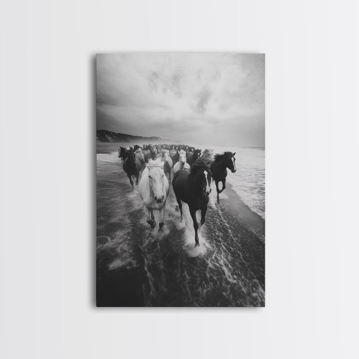 Horse wall art, wild mustangs, moody art, rustic decor, nature photography, black and white art, panoramic art, canvas print, living room art