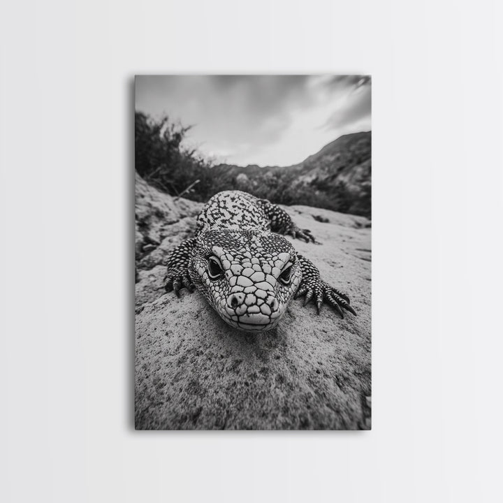 Lizard art, wildlife photography, moody art, desert decor, black and white photography, wabi sabi wall art, framed canvas print, unique gift