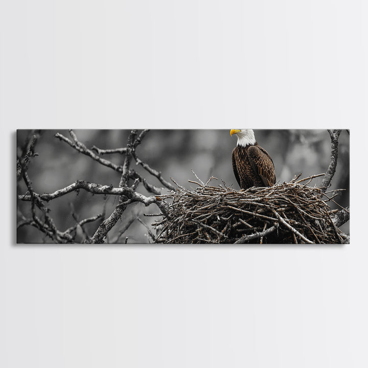Bald Eagle, Nature Wall Art, Rustic Art, Wildlife Photography, Bird Art, Above Sofa Art, Panoramic Art, Framed Canvas Print