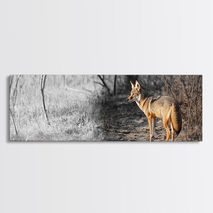 Coyote in Forest, Wildlife Wall Art, Rustic Decor, Nature Art, Moody Art, Extra Wide Art, Panoramic Art, Framed Canvas Print