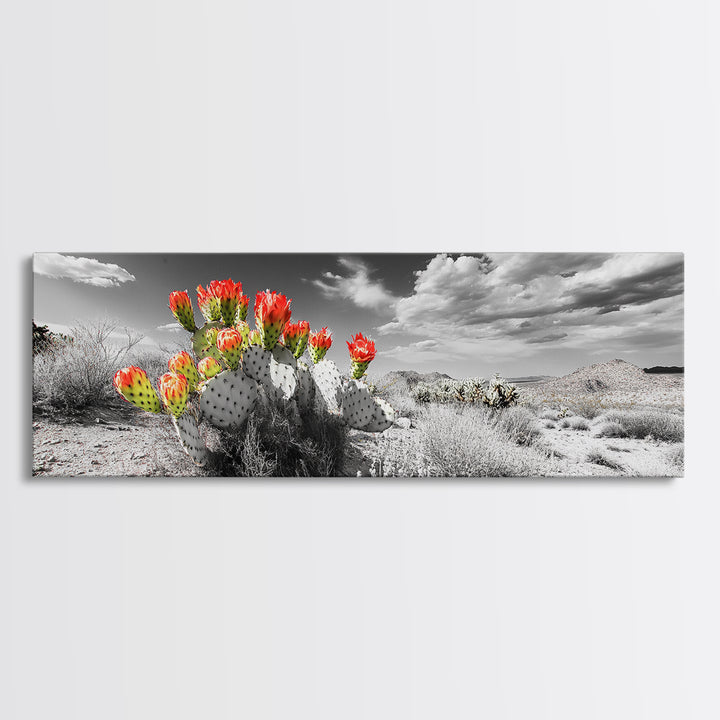 Cactus Blooms, Desert Art, Southwest Wall Art, Botanical Prints, Wildflower Painting, Extra Wide Art, Framed Canvas Print
