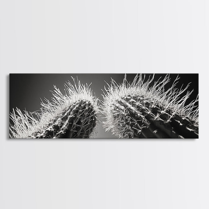 Desert Cactus, southwest wall art, moody art, Joshua tree art, extra wide wall art, nature photography, framed canvas print