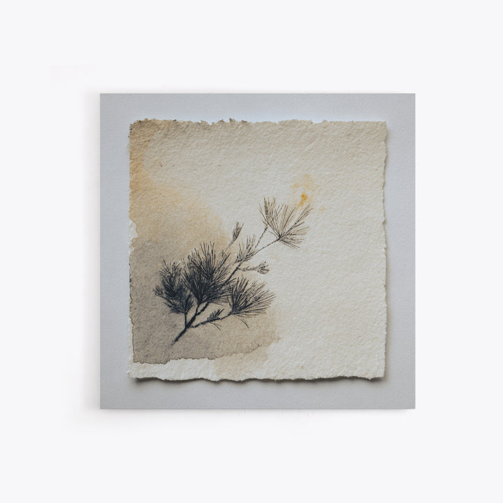 Ceramic Vase with Dried Grasses Canvas Print, Scandinavian Art, Art Print, Living Room Decor, Fine Art, Nordic, Farmhouse Decor, SCA-1x1-85
