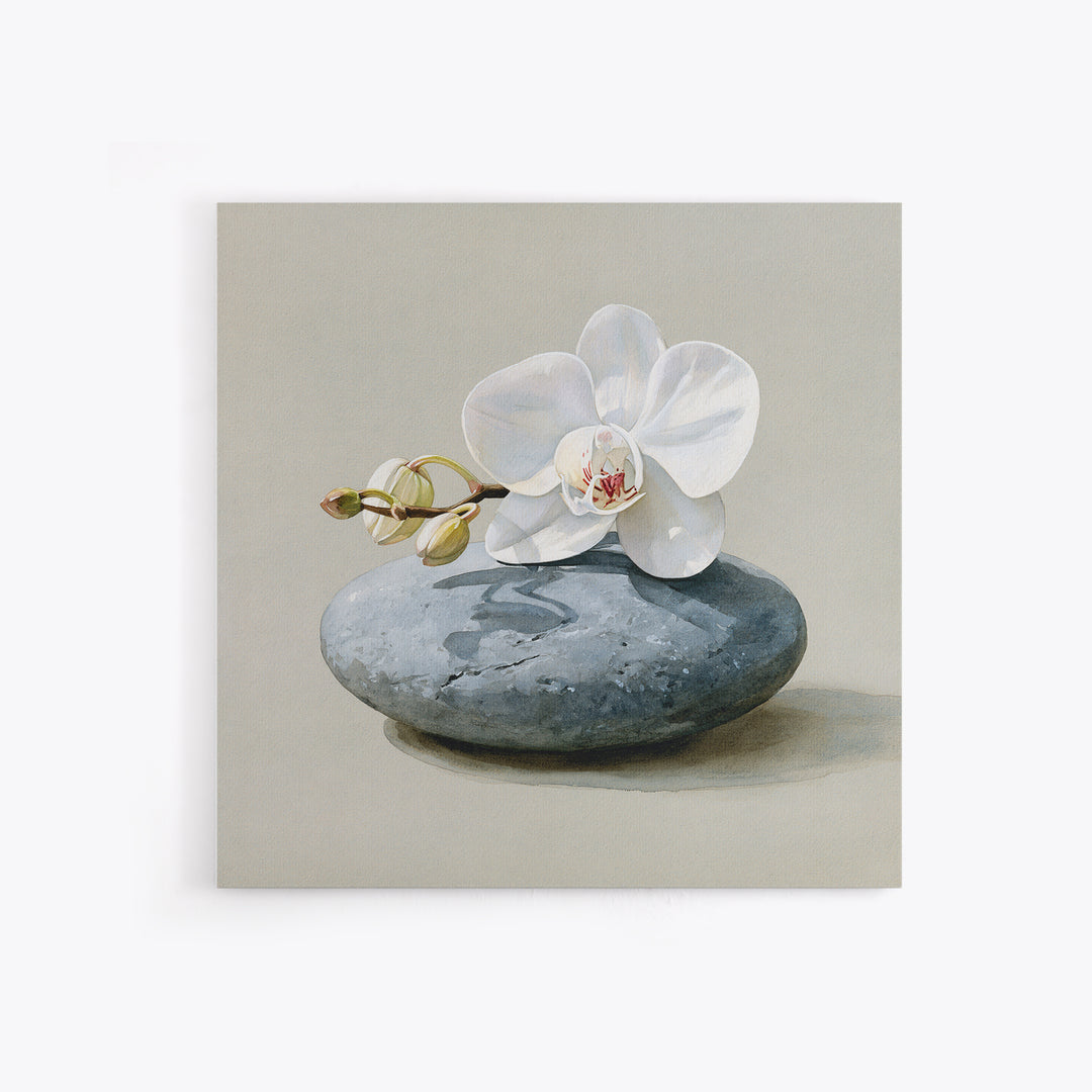White Orchid on Smooth Gray Stone Canvas Print, Spa Art, Tarot Card Art, Spa Decor, Fine Art, Serenity, Textured Painting, SPA-1x1-26