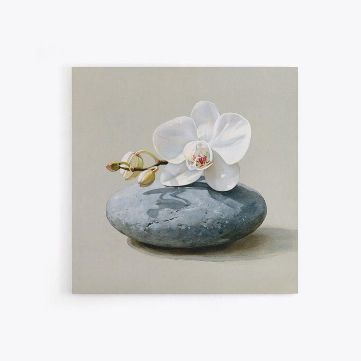 White Orchid on Smooth Gray Stone Canvas Print, Spa Art, Tarot Card Art, Spa Decor, Fine Art, Serenity, Textured Painting, SPA-1x1-26