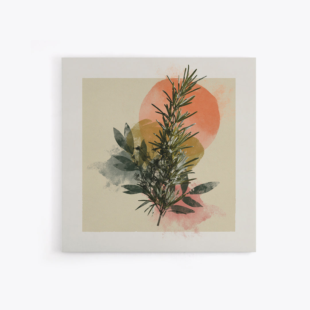 Botanical Herbal Arrangement Framed Canvas Print, Spa Art, Gallery Decor, Spa Decor, Fine Art, Serenity, Wall Art, Home Decor, SPA-1x1-38