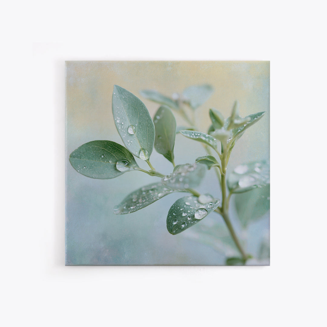 Rain on Leaves Framed Canvas Print, Spa Art, Art Print, Spa Decor, Serenity, Botanical Art, Nature Prints, Travel Poster, SPA-1x1-40