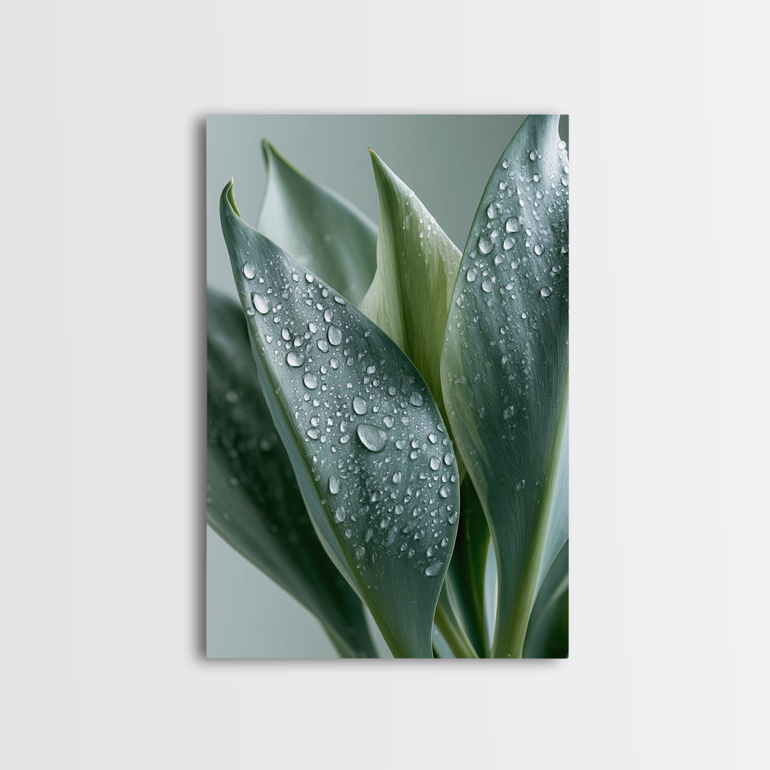 Rain on Leaves Framed Canvas Print, Spa Art, Modern Decor, Spa Decor, Fine Art, Serenity, Wall Decor, Printable Wall Art, SPA-2x3-24