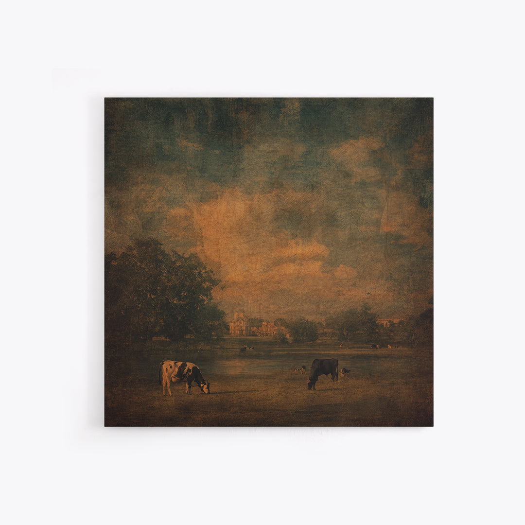 Pastoral Countryside with Cows in Field Framed Canvas Print, Traditional Art, Artwork, Living Room Decor, Fine Art, Classic, TRA-1x1-7
