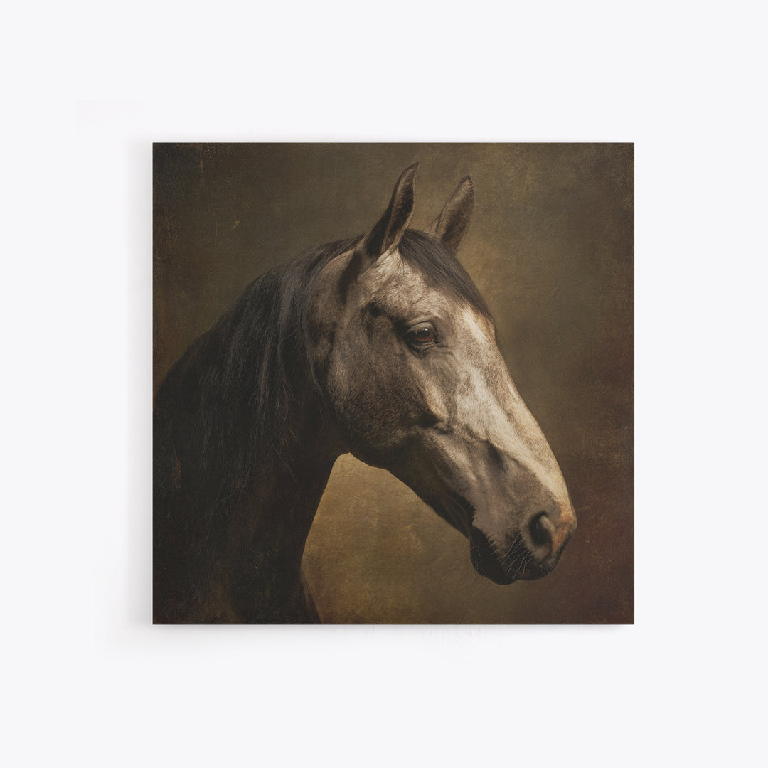 Realistic Horse Portrait Canvas Print, Traditional Art, Art, Living Room Decor, Classic, Printable Art, Art Commissions, TRA-1x1-99