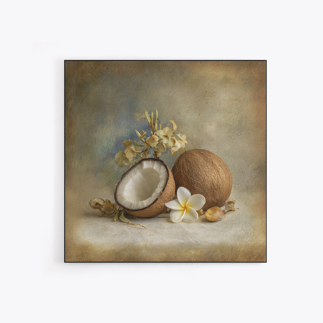 Coconut and Plumeria Still Life Framed Canvas Print, Tropical Art, Decor, Living Room Decor, Fine Art, Tropic, Bird Art, TRO-1x1-12